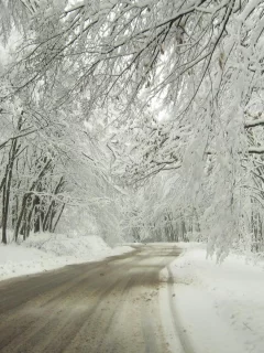 дорога, снег, зима, деревья
