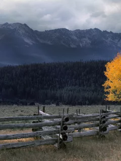 тучи, горы, nature, природа, лес, ограждение, осень, бревна, пасмурно, бревно, дерево, поляна, забор, местность, пейзаж