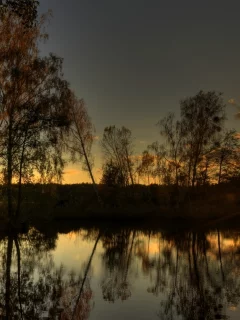 вода, отражение, тишина, озеро, солнце, лес, лучи, вечер, свет, деревья, закат