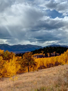 облака, autumn, landscape, grass, трава, mountains, деревья, небо, свет, пейзаж, горы, sky, light, nature, природа, forest, 2560x1600, лес, trees, осень, clouds