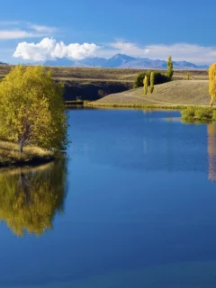 трава, обои, вода, пейзаж, река, деревья