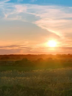обои, пейзаж, солнце, утро, трава, wallpaper, природа