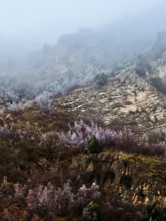 горы, природа, дагестан, дмитрий чистопрудов, кавказ, россия