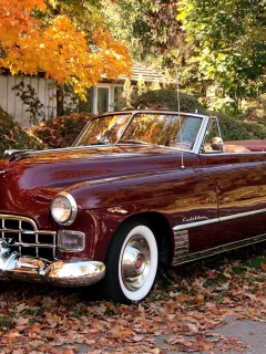 convertible, деревья, кадилак, кабриолет, сикститу, листва, 1949, кусты, бордовый, sixty-two, шикарная машина, cadillac