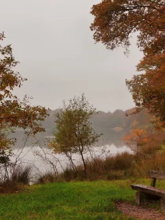 скамья, вечер, осень, озеро