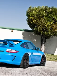 tuning, порше, суперкар, тюнинг, небо, голубой, gt3, забор, гт3, porsche, вид сзади, дерево, 911