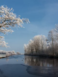 зима, дерево, река, природа