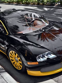16, 4, veryron, beverly hills