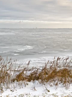лёд, зима, камыш, река