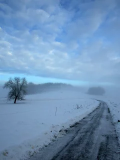 зима, дерево, снег, дорога