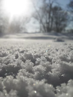февраль, зима, мороз, солнце, сснег