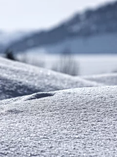 зима, снег, пейзаж, природа