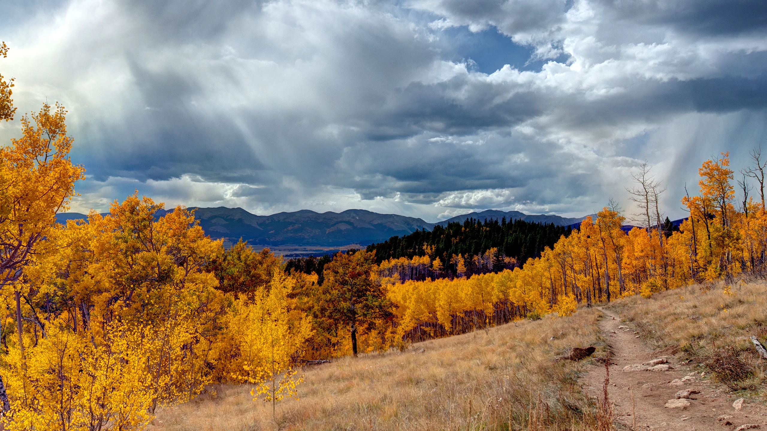 облака, autumn, landscape, grass, трава, mountains, деревья, небо, свет, пейзаж, горы, sky, light, nature, природа, forest, 2560x1600, лес, trees, осень, clouds