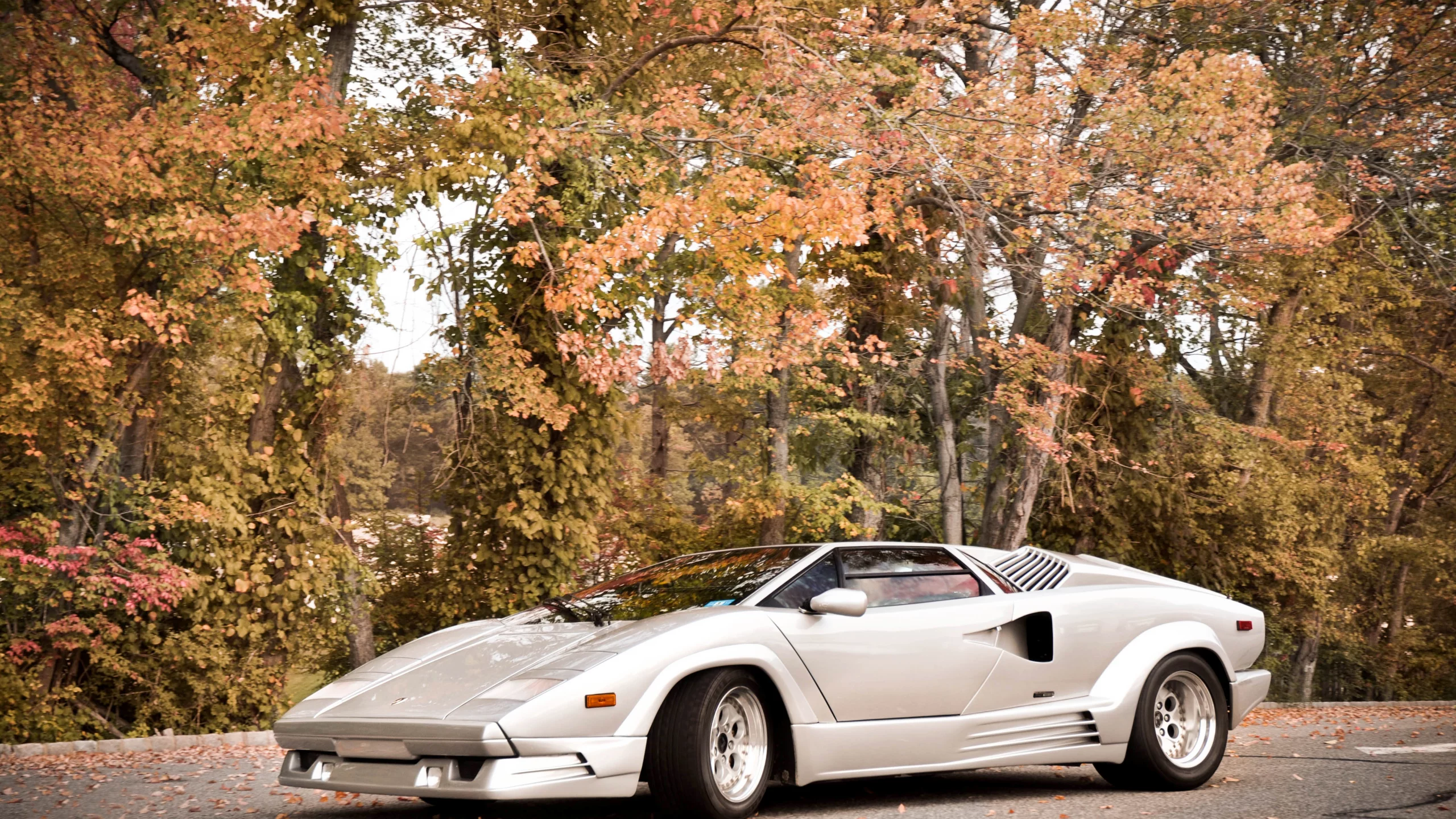lamborghini, ламборгини, countach, суперкар, lambo, lamborghini countach