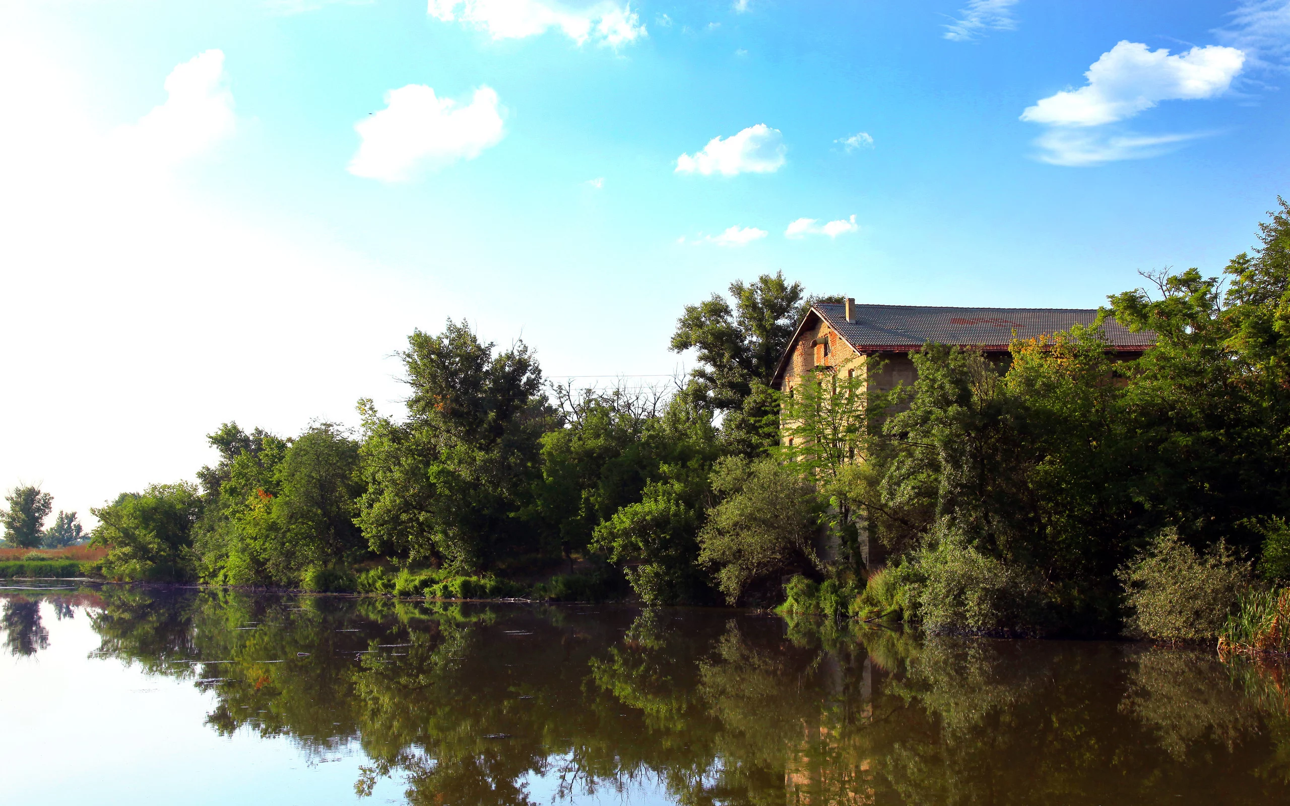 дом, река, the river, вода