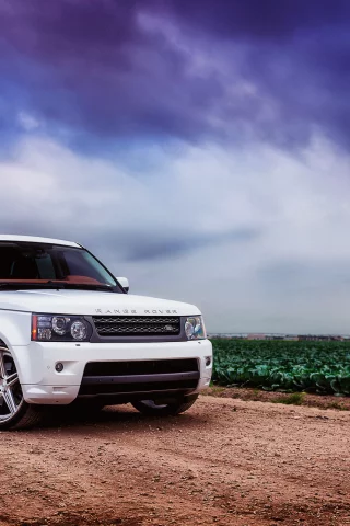 white, sport, белый, range rover, ренж ровер, land rover, ленд ровер