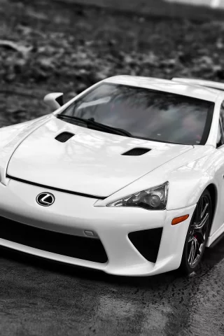 lfa, белый, lexus
