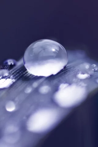 лист, макро, вода, роса