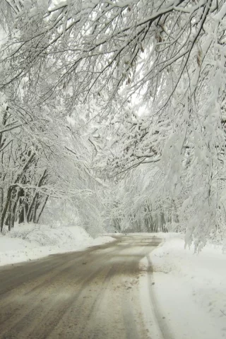 дорога, снег, зима, деревья