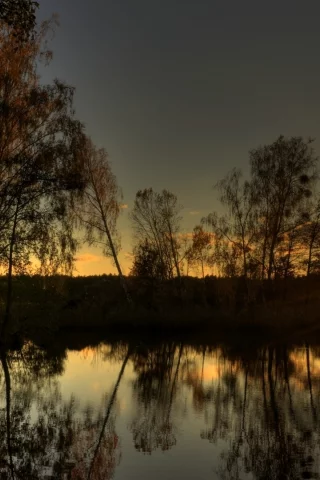 вода, отражение, тишина, озеро, солнце, лес, лучи, вечер, свет, деревья, закат