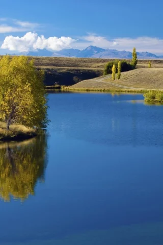 трава, обои, вода, пейзаж, река, деревья