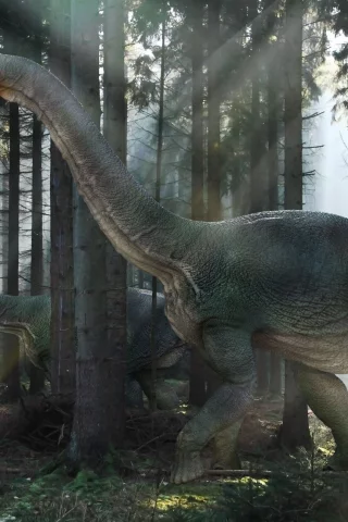 свет, лес, nemegtosaurs, динозавры, лучи
