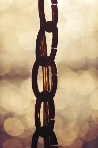 золотистый, bokeh, цепь