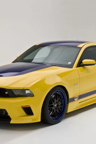полосы, concept, mustang, жёлтый, авто, wd40, ford