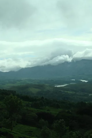 река, деревья, долина, облака