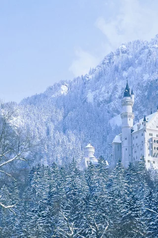 горы, замок, зима, деревья