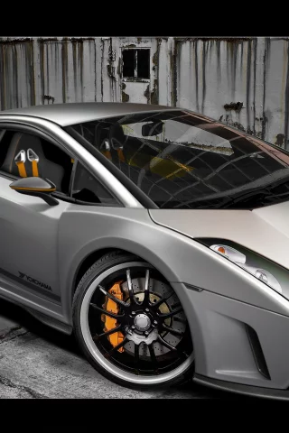 silver, lambo, sateen