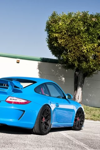 tuning, порше, суперкар, тюнинг, небо, голубой, gt3, забор, гт3, porsche, вид сзади, дерево, 911