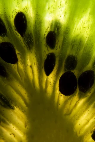 зеленый, фрукты, киви, kiwi
