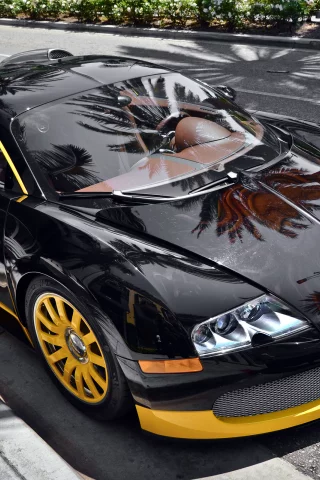16, 4, veryron, beverly hills