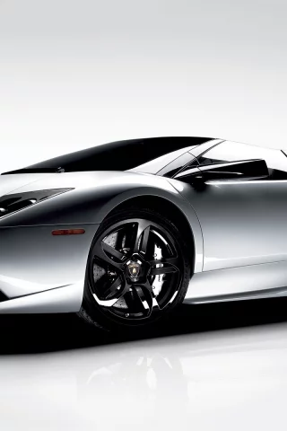 авто, car, murcielago, lamborghini