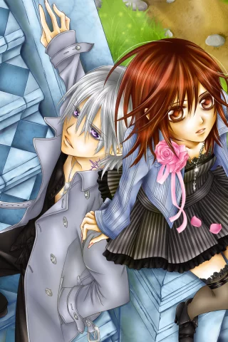аниме, yuki, zero, vampire knight