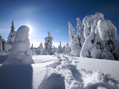 финляндия, зима, finland, снег, winter