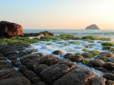 водоросли, камни, море