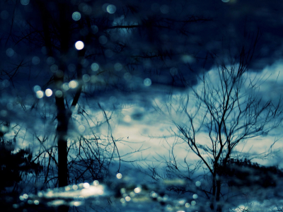 вода, вечер, природа, деревья, отражение