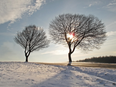 зима, пейзаж, деревья, дорога, небо