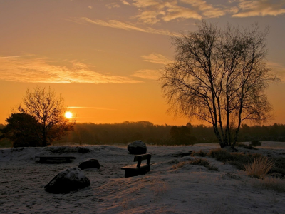 скамейка, солнце, дерево, закат, зима