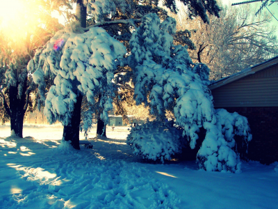 зима, природа, деревья, дом, снег, двор, сугробы, nature, пейзаж, лучи