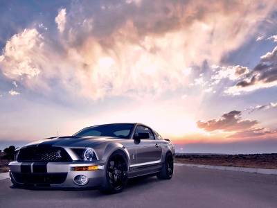 shelby, gt500, ford, cobra, mustang
