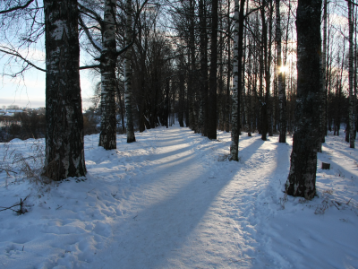 снег, настроение, солнце, пейзаж, березы, лес, дорога, зима, природа