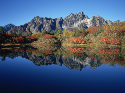 отражение, озеро, кусты, осень, горы