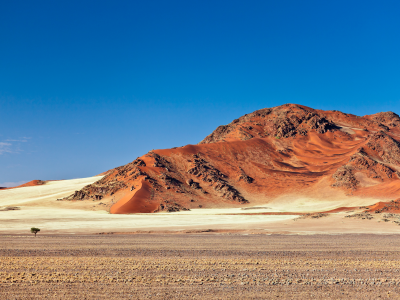 пустыня, намибия, namibia, горы, песок, дерево