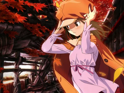 nadeko, bakemonogatari, истории монстров, аниме