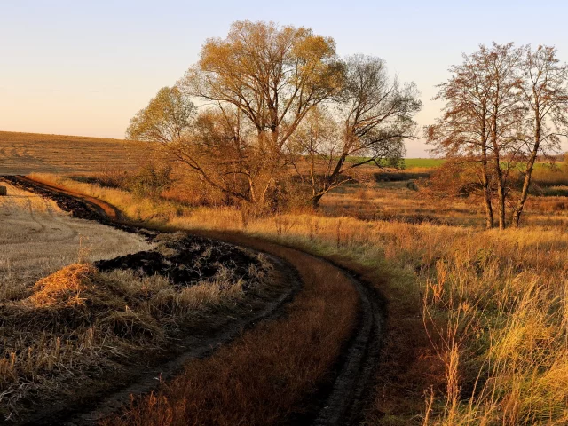 дорога, поле, закат