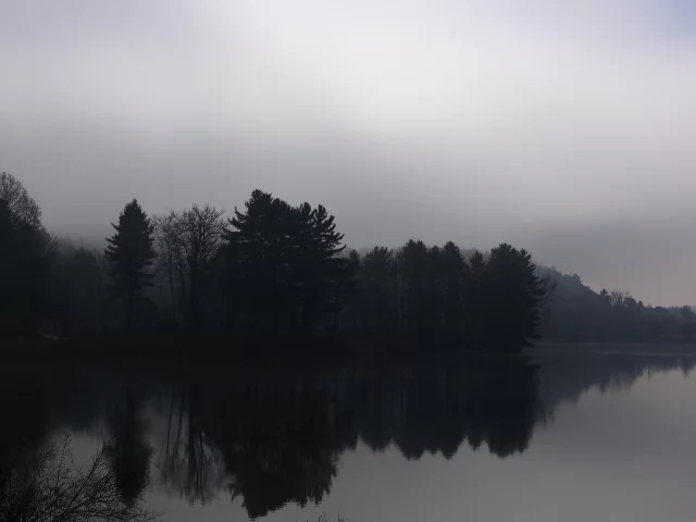 туман, чб, природа, река, осень, деревья