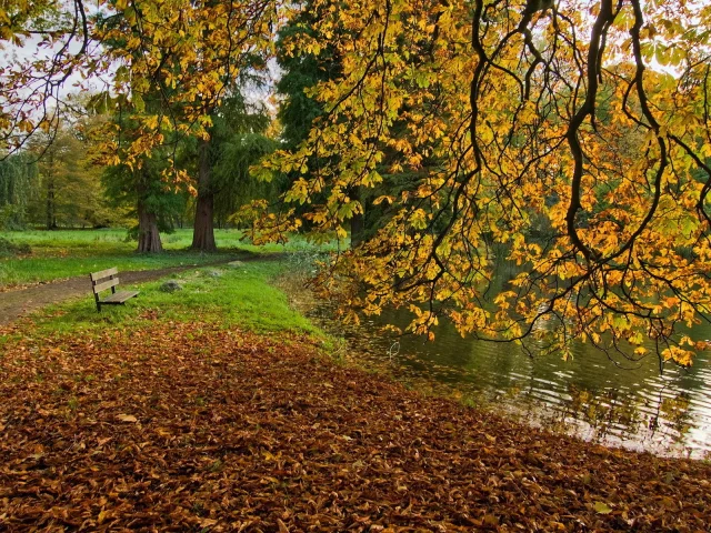 осень, парк, скамья